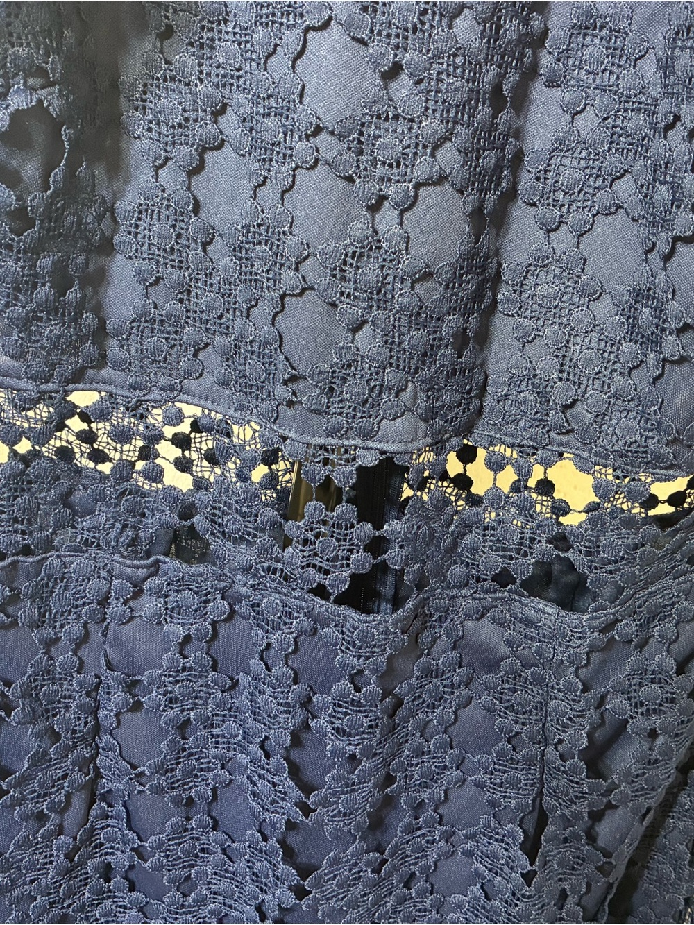 Petal and Pup Lauren Lace Overlay Dress Size 12 - Picture 6 of 7